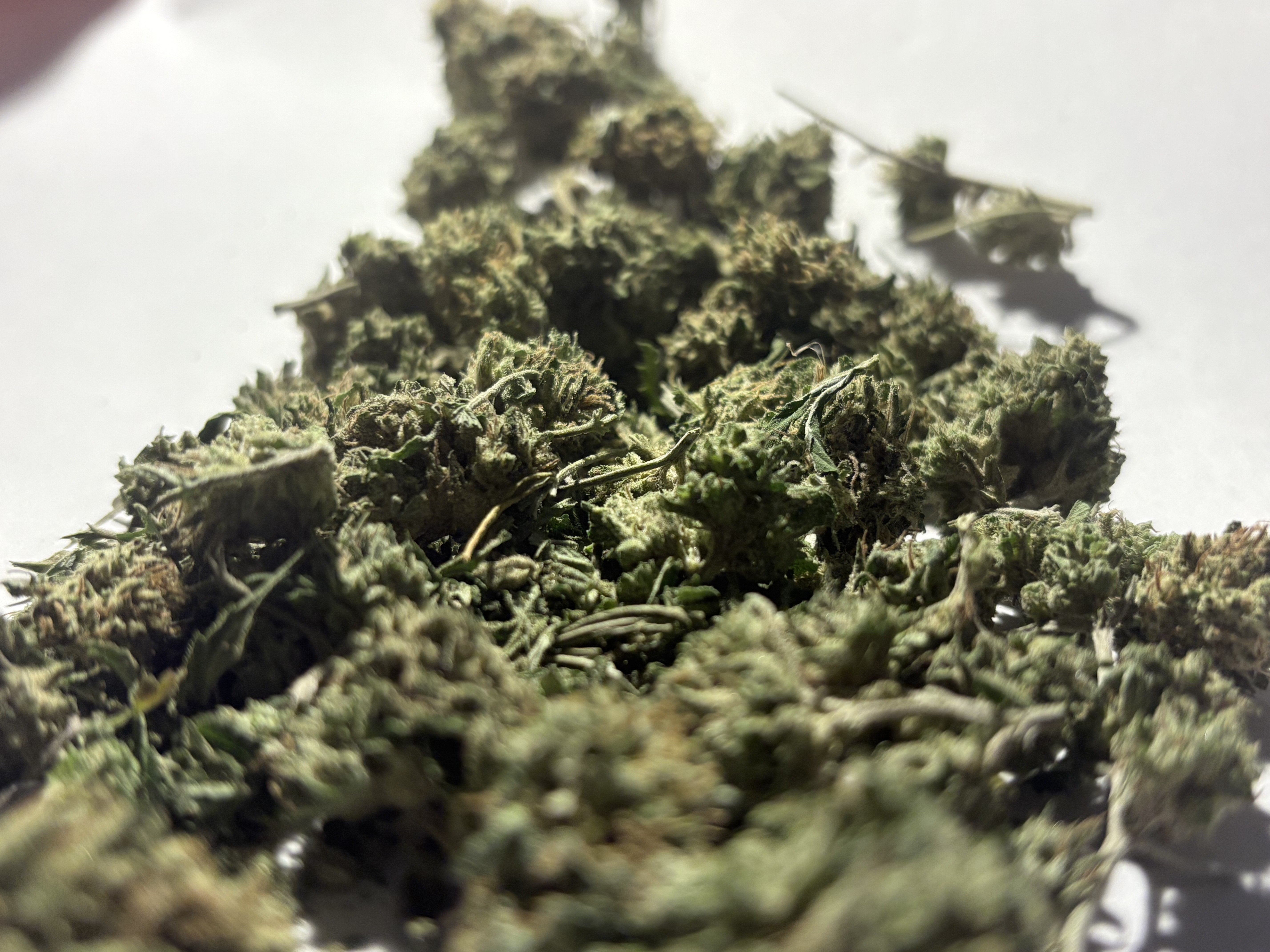 GreenZoom GreenZoom