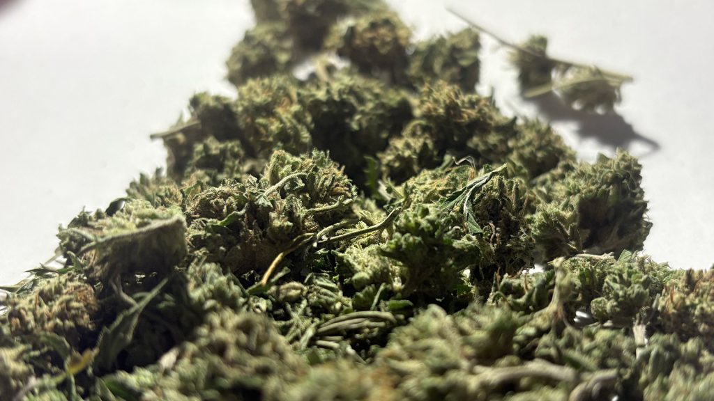 Kaleidoscope Farms Cannabis Cultivation